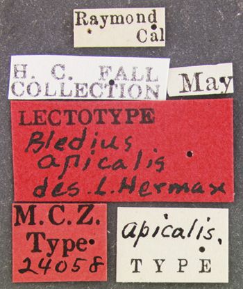Media type: image;   Entomology 24058 Aspect: labels